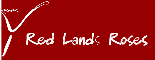 Red Land Roses